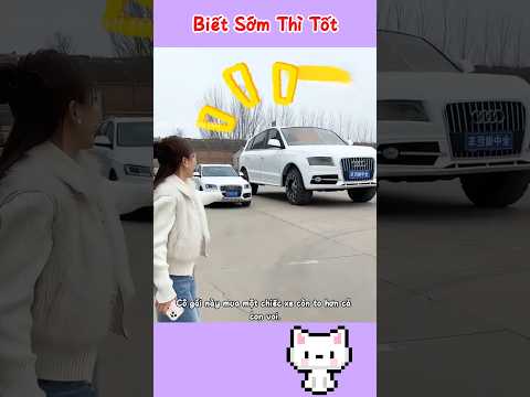 Ngày Xui Xẻo Của Cô Gái Mua Xe Khổng Lồ 😂