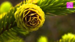 Giuffria - Call To The Heart