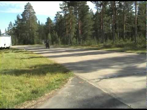 Sandra Dahlberg Supermoto at drivecenter.se