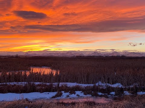 Strauss - Im Abendrot / Anu Komsi / Alexander Prior / Erfurt Philharmonic (from Vier Letzte Lieder)
