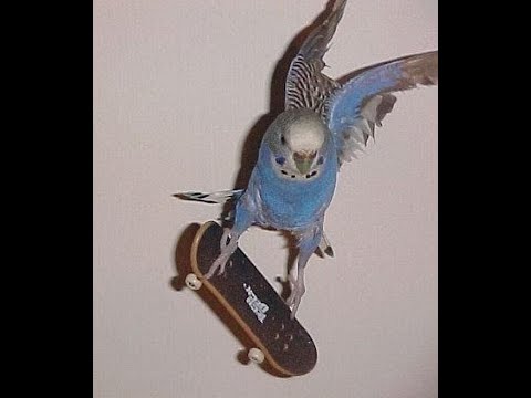 [FREE] Ateyaba + SahBabii "Stats" Type Beat (Prod. Fortuna Santa)