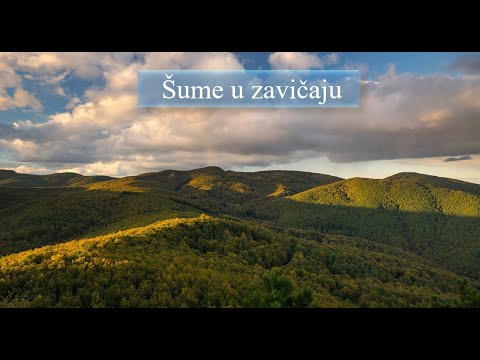 Šume u zavičaju (III razred)