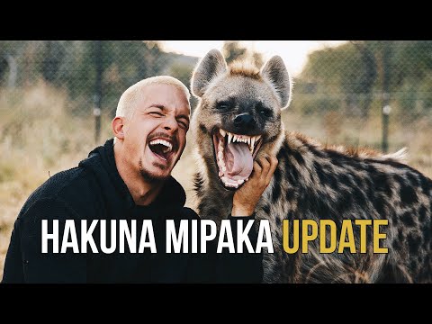 Hakuna Mipaka - December Update