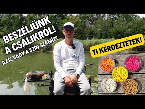 Beszéljünk a csalikról!