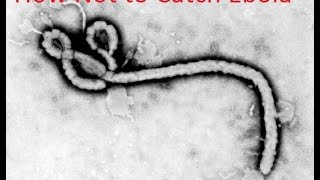 How not to catch Ebola Virus