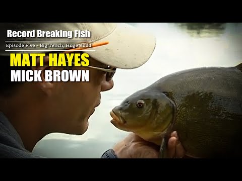 Matt Hayes & Mick Brown | Record Breaking Fish | Episode 5 | Fishing for Big Tench and a Giant Rudd