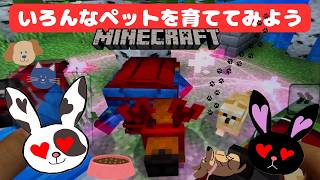 【マインクラフト】みゆちゃんといろんなペットで遊ぼう！無料アドオン！初心者向け！マイクラ！スイッチ版