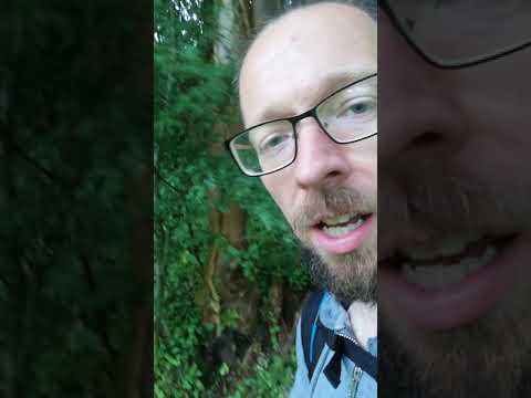 The battle of Falkirk 1298 potential battle site