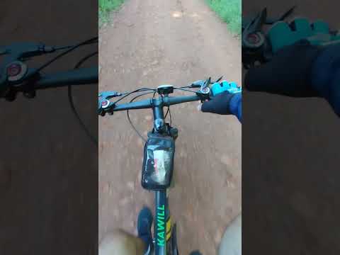 Postales del recorrido por caminos del interior Misiones! (Santo Pipó)