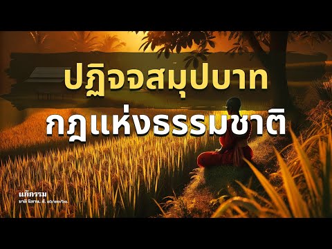 ກົດເເຫ່ງທຳມະຊາດ ປະຕິຈະສະມຸບາດ
