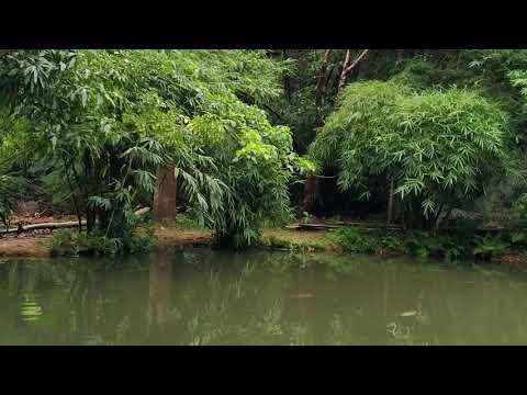 Thể hiện bởi Vũ Ngọc Báu