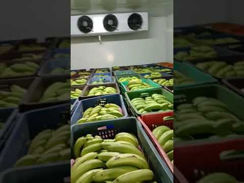 Ripening chember subsidy consultation