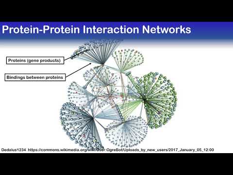 Studying Aging in Dynamic Protein-Protein Networks