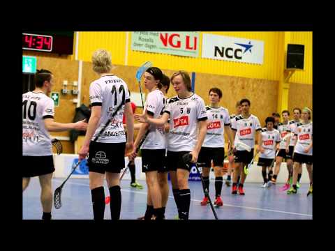 IK Sirius IBK JAS 2014