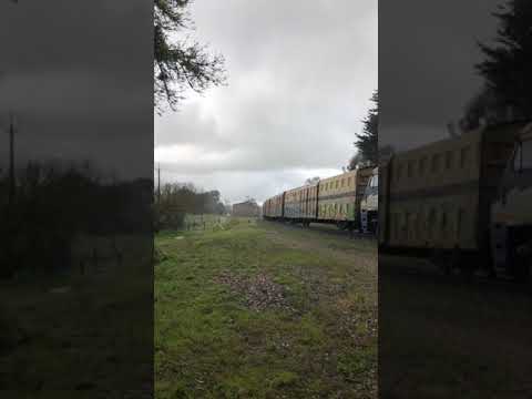 TRAINS AM22 5MP9 SCT006 CSR005 EL62 EL60 in the rain at Nairne 15/10/21