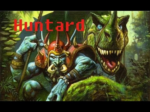 {Distorted} AQ40 Hunter POV