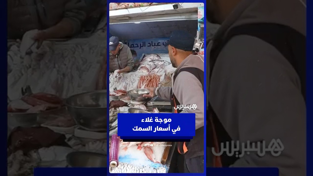 الأسواق تشهد موجة غلاء جديدة في أسعار السمك thumbnail