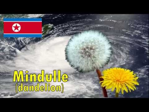 How to Name a Typhoon