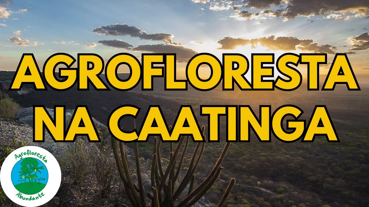 Agroforestry in the Caatinga - Agroforestry in the Sertão - Agroforestry in the Semiarid