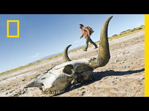 Ten spacer groził ślepotą i odwodnieniem! | Plemienna szkoła przetrwania: Andy