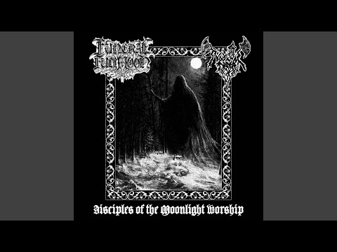 Enchanted Forest and Winter Melancholy