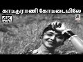 Katturani Kottaiyile K V மகாதேவன் இசையில் P சுசீலா பா�