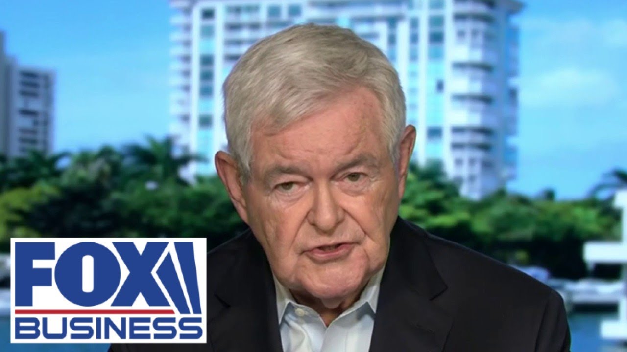 'IGNORANT TO HISTORY': Newt Gingrich rips America's left-wing elites