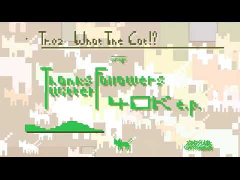 Video thumbnail for WHAT THE CAT!?