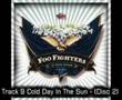 Foo Fighters - Cold Day In The Sun