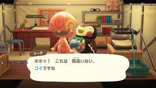 サバイバルゲームどうぶつの森を遊んで見る♯2