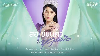 สอเขียนคิ้วหลุดมือ เวียง นฤมล