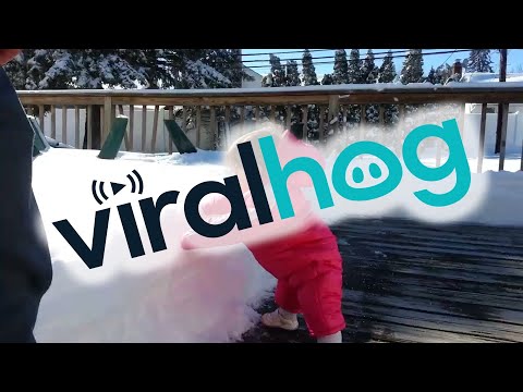 Baby Faceplants into Snow || ViralHog