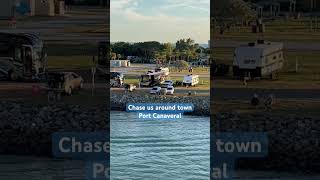 @ChaseUSAroundTown in Port Canaveral from the Utopia of the Seas