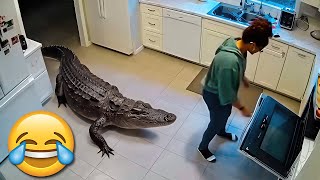 TENTE NÃO RIR 🤣 MELHORES MEMES E VIDEOS ENGRAÇADOS #11