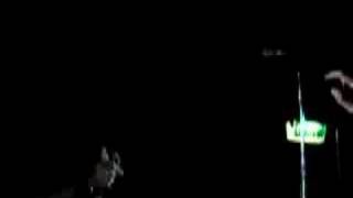 The Butterfly Effect - One Second of Insanity