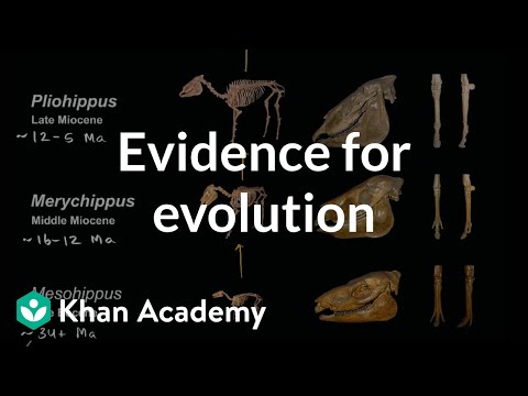 Evidence for evolution  | Biology | Khan Academy