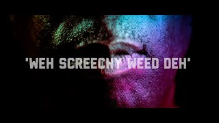 'Weh Screechy Weed Deh' by Red Eye HI Fi ft. Jah Screechy (NB Audio)