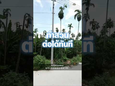 Don’t Miss This! Great Price!! Beautiful Pomelo Orchard Land for Sale Beautiful land with an existing pomelo orchard, totaling 1 Rai 3 Ngan 97 Sq.Wah (797 Sq.Wah). – รูปที่ 2