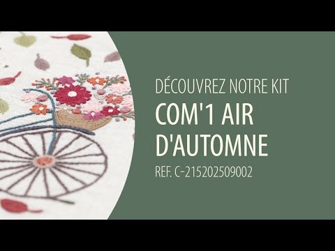 Voir la vidéo