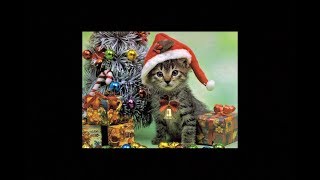 Stanaj- Last Christmas