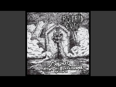 Immersed in Cadaverous Stench