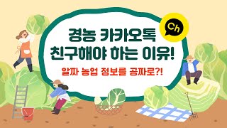 ????[긴급!] 경농 카카오 채널과 친구하는 방법과 가장 좋은 점-!