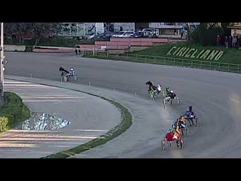 Aversa trotto 14 Dicembre 2019 - Corsa minitrotter