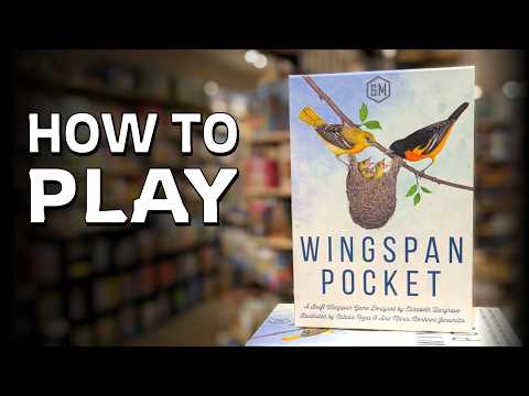 How to Play WINGSPAN POCKET