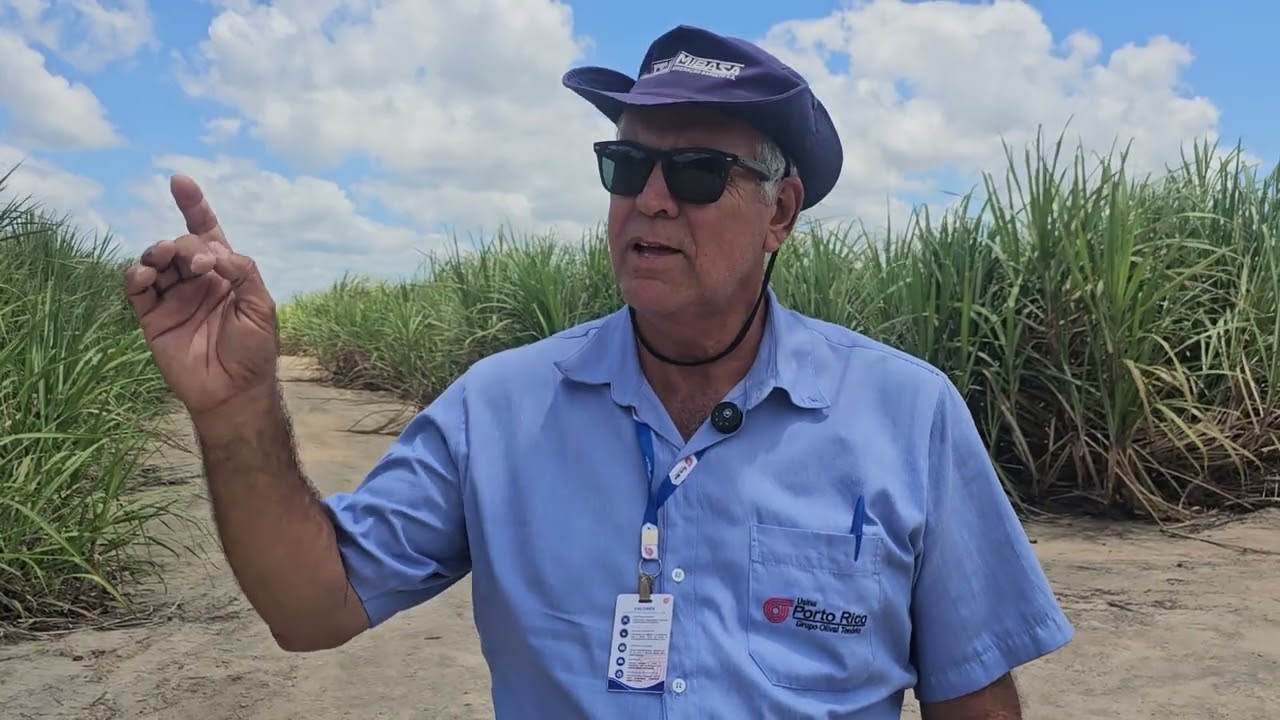 Manejo varietal sustenta alta produtividade da Usina Porto Rico, em Alagoas