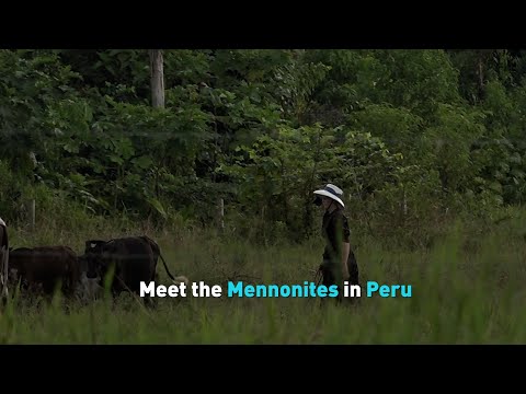 Meet the Mennonites in Peru