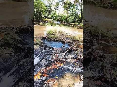 hervidero de aguas volcánicas en Nicaragua en la comunidad de Danlis siuna