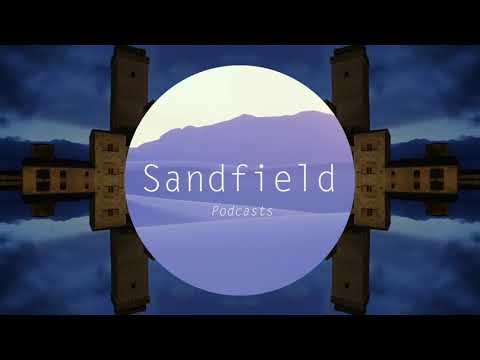 Sandfield Podcast Series #21 - Sorin Simon