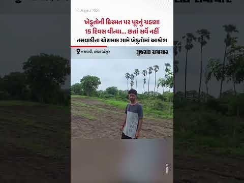ખેડૂતોની કિસ્મત પર પૂરનું ગ્રહણ! 15 દિવસ વીત્યા... છતાં સર્વે નહીં, નસવાડીના ચોરામલ ગામે ખેડૂતોમાં આક્રોશ ખેડૂતોની કિસ્મત પર પૂરનું ગ્રહણ! 15 દિવસ વીત્યા... છતાં સર્વે નહીં, નસવાડીના ચોરામલ ગામે ખેડૂતોમાં આક્રોશ