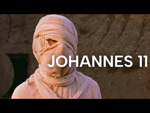John 11 | The Life of Jesus | Bible Online